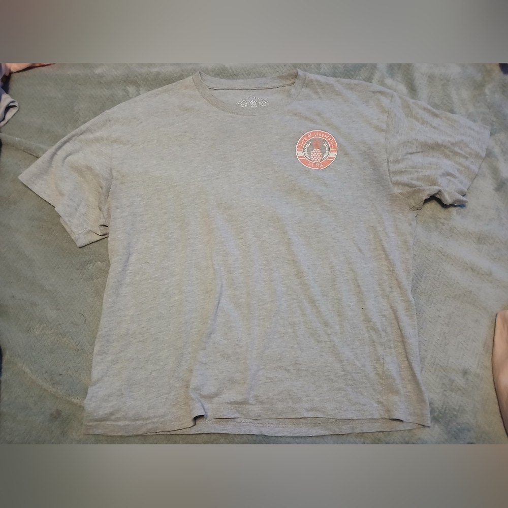 Gray Short Sleeve Tee with Vibrant Logo